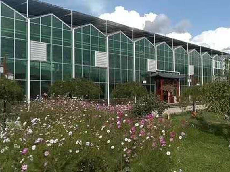 案例展示